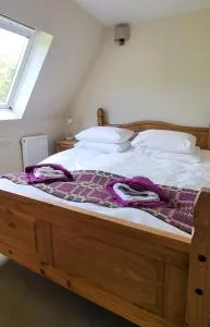 Plas Penaeldroch Manor - 凯珀尔克里格