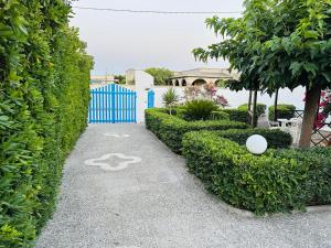 Casa Loca del mar