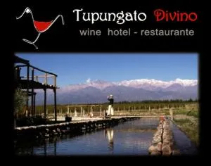 Tupungato Divino - توبونغاتو
