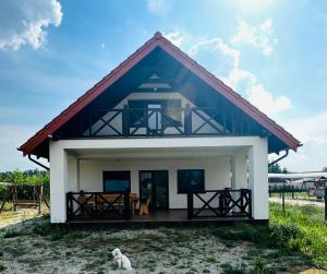 Lazurowa Chata Rydzewo I Balia i Deska Sup w cenie I 12 osób I 200m do plaży