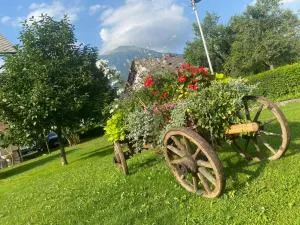 Apartma Tatjana - Breg