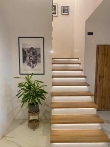 Dream House - Vysoké Tatry