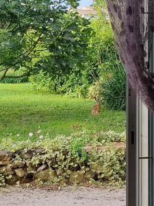 Villas Maison campagnarde : photos des chambres