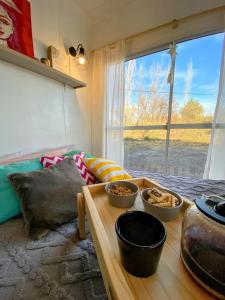 Container House