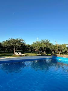 Cabañas del Viñedo