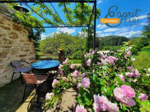 Maisons de vacances Le Mas du Tes : photos des chambres