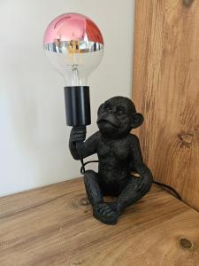 Jolie maison neuve avec piscine