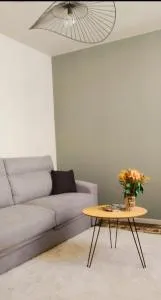 Magnifique studio centre ville - Champcevinel