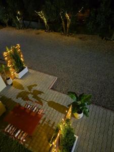 La Bouganvillea img39