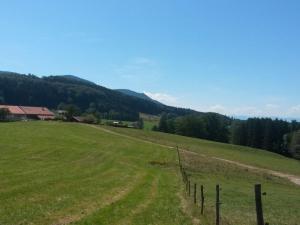 Richter Comfortable holiday residence