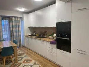 BRT Apartment - 弗洛雷什蒂