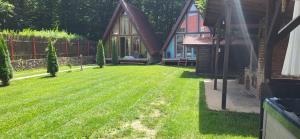 Cabana Vanatorilor A Frame Blue