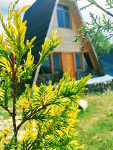 İpekyolu dağ evleri