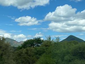 Camel Creek Safari Lodge