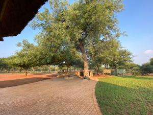 Camel Creek Safari Lodge