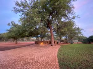 Camel Creek Safari Lodge