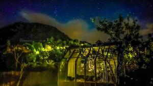 Tentes de luxe Chalet en verre sous une pluie etoilee : photos des chambres
