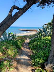 Appartements Chez Aline - Appartement en bord de mer : photos des chambres