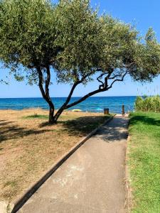 Appartements Chez Aline - Appartement en bord de mer : photos des chambres