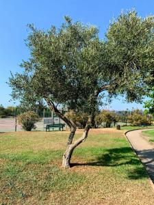 Appartements Chez Aline - Appartement en bord de mer : photos des chambres