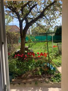 Appartements -StudioCDG fr- Cerisier, Studio proche near CDG Roissy airport, Parc Expositions, Stade de France, Arena, Disney, Asterix : photos des chambres