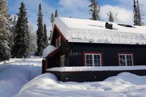 Experience Your Dream Vacation at Gålå - 温斯特拉