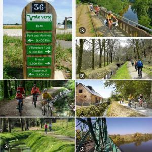 Large Relaxing Spot on the River Lot