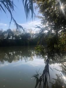 Large Relaxing Spot on the River Lot