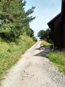 Appartements Le duplex de Dana, Gresse en Vercors, Alpes du Nord, classement 3 etoiles par Atout France : photos des chambres