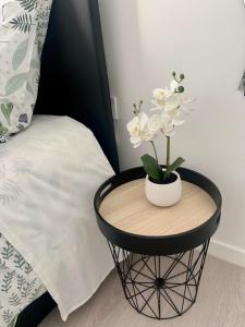 StudioCDG fr Cerisier, Studio proche near CDG Roissy airport, Parc Expositions, Stade de France, Arena, Disney, Asterix