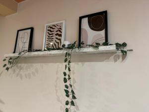 Birmingham City Stay Apartments