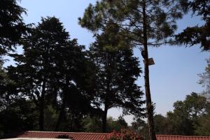 Hotel Senderos de Alux