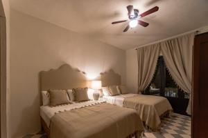 Luxury Historic 5BR Boutique hotel in Centro Walkable & Pool