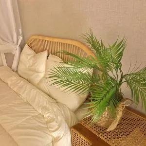 SOLSOLhouse - Cušima