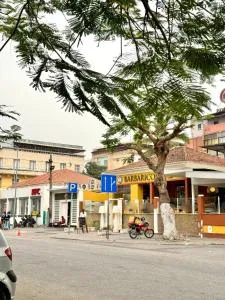 Cozy 1br Apartment in Center - Grafanil