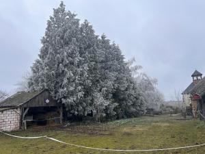 Maisons de vacances La Meltiere a Beautiful 2-Bed Cottage in Courcite : photos des chambres