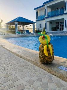 Punta rucia doña elsa villas