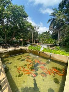 Kantawa Hotel & Spa - Solo Adultos