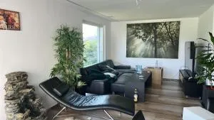 Rheinblick - Koblenz