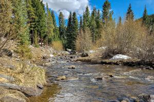Breckenridge Bliss Retreat