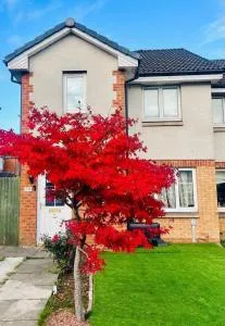 Beautiful Cottage - Hurlet