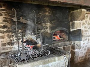 Maison rustique avec cheminée, jardin et animaux admis à Laprugne - FR-1-489-184