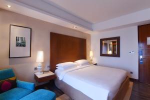 Hyatt Ahmedabad