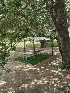 Maisons de vacances BERGERIE AU BORD DU LAC Acces Prive : photos des chambres