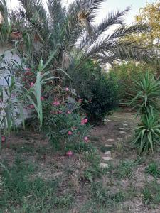 Maisons de vacances BERGERIE AU BORD DU LAC Acces Prive : photos des chambres