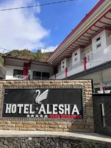 Hotel Alesha Dieng - Kejajar