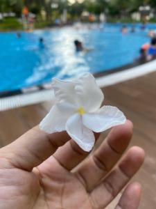 Homestay Masteri Centerpoin nha Du s