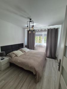 Apartament Brzechwy