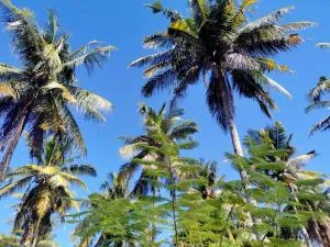 Exotic house - Pulau Meno