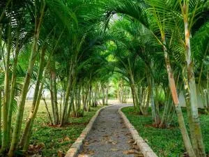 Lakeview Gardens - Xóm Ðá Dủng